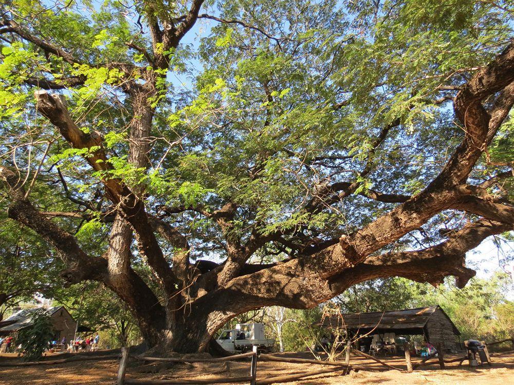 كاثرين Springvale Homestead المظهر الخارجي الصورة